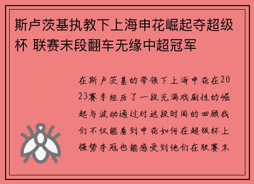 斯卢茨基执教下上海申花崛起夺超级杯 联赛末段翻车无缘中超冠军