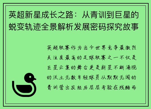 英超新星成长之路：从青训到巨星的蜕变轨迹全景解析发展密码探究故事